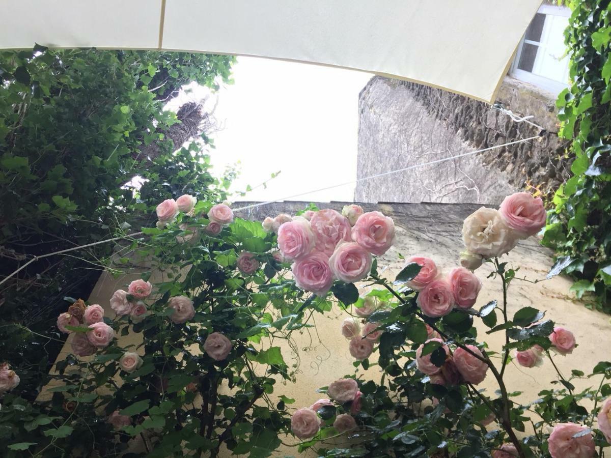 수즈-라-루스 Les Aiguieres En Provence B&B 외부 사진
